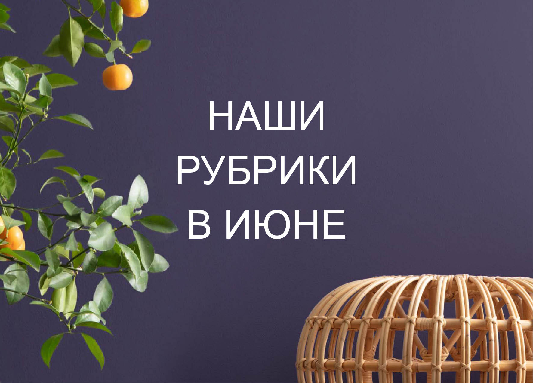 629ddc840a75d.jpg