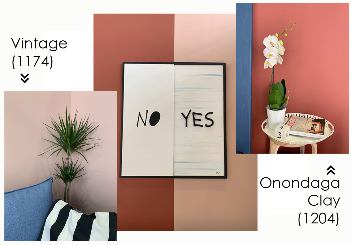 купить краску benjamin moore 